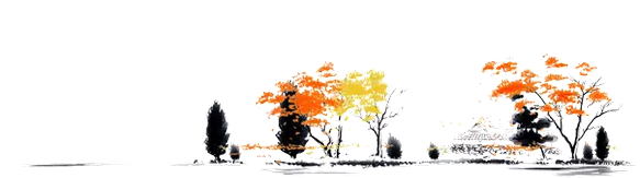 1520559638941254.png 泸州白酒.png